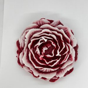 Grote Pioenroos kaars